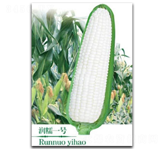 ��Ŵһ̖(h��o)-Ŵ���׷N��-�(zh��n)�зN�I(y��)