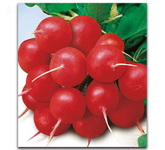 ���A-�}���N��-���ʵ�