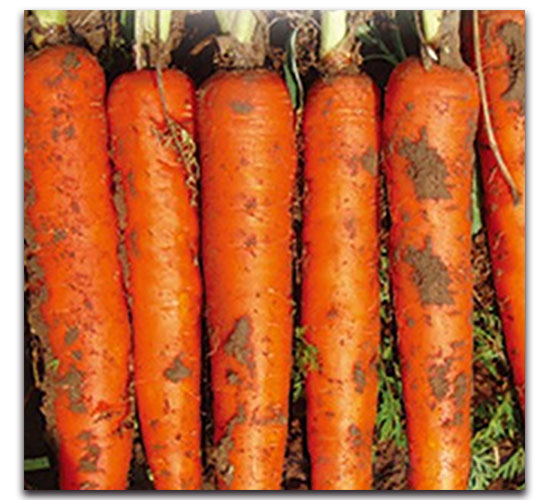 ���tһ̖(h��o)-�}���N��-���ʵ�