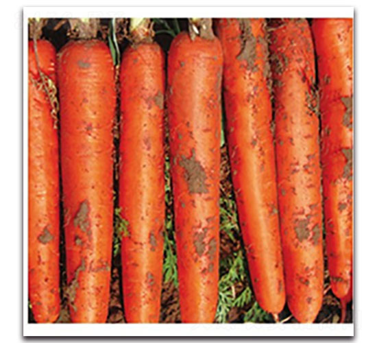 ���t-�}���N��-���ʵ�