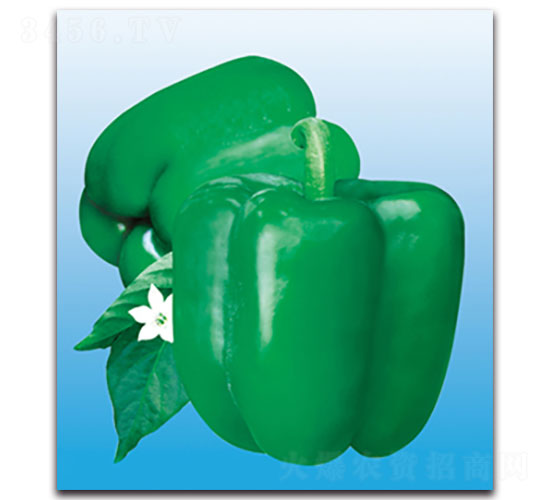 �W�ɿ�2̖(h��o)-�𽷷N��-���ʵ�(l��)