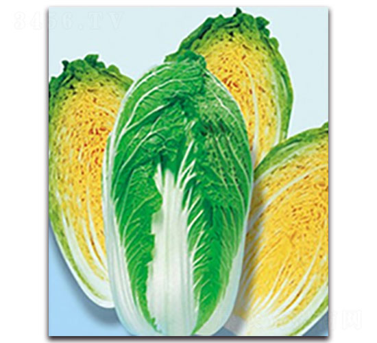 �½�4̖(h��o)-��ײ˷N��-���ʵ�