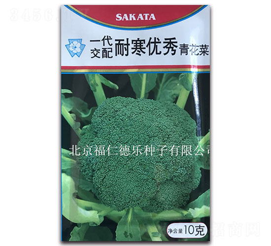 10g�ͺ���(y��u)��-���m���N��-���ʵ�