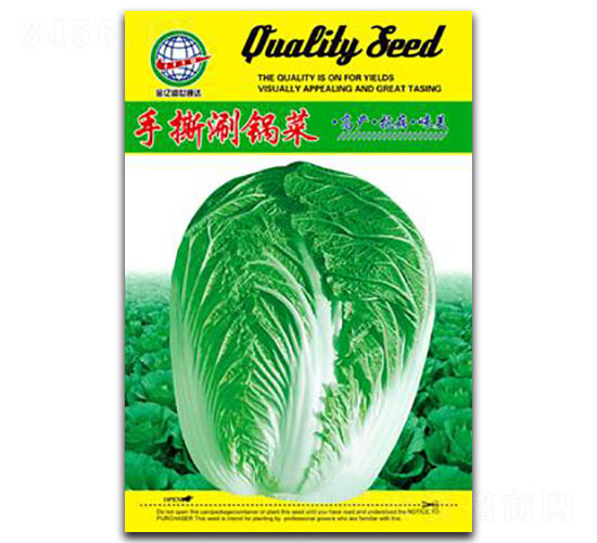 ��˺��偲�-�ײ˷N��-����