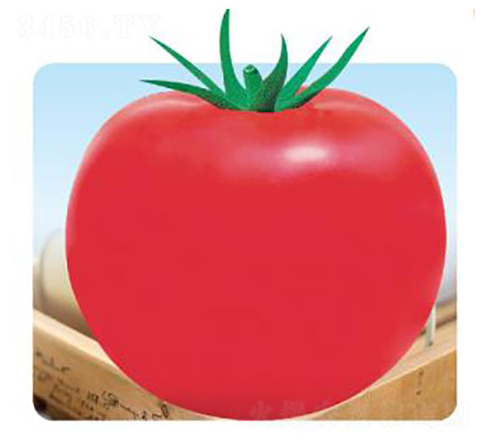 ����-���ѷN��-�ȃ�(y��u)�_(d��)