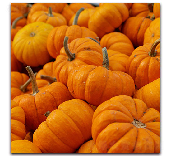 �ϹϷN��-�ȃ�(y��u)�_(d��)