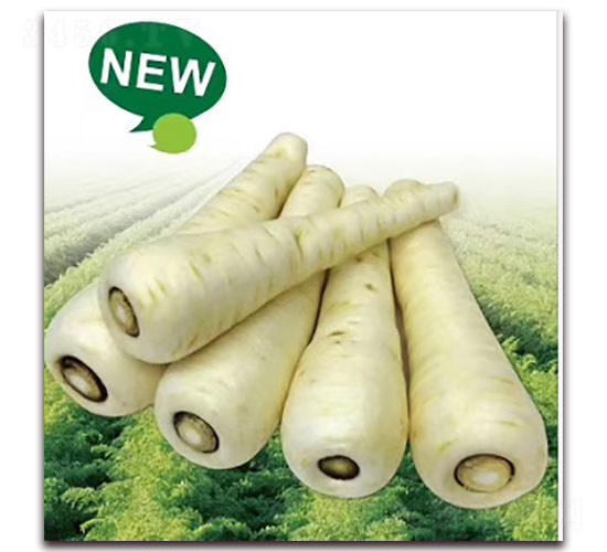 ����-�}���N��-�ȃ�(y��u)�_(d��)