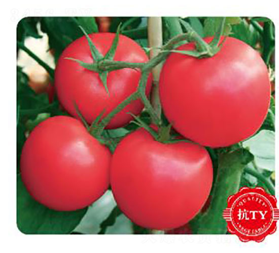 �ȃ�(y��u)1401-���ѷN��-�ȃ�(y��u)�_(d��)