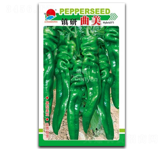 ����-�ݽz���N��-�(zh��n)�зN�I(y��)