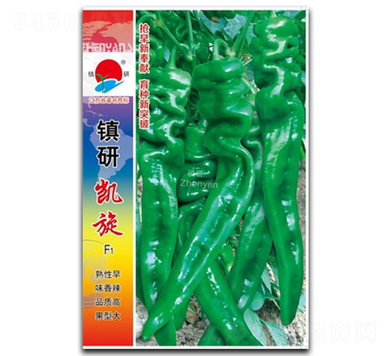 �P��-�ݽz���N��-�(zh��n)�зN�I(y��)