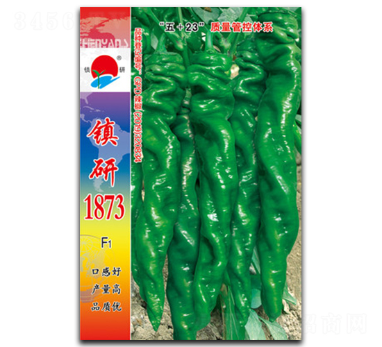 �(zh��n)��1873-�ݽz���N��-�(zh��n)�зN�I(y��)