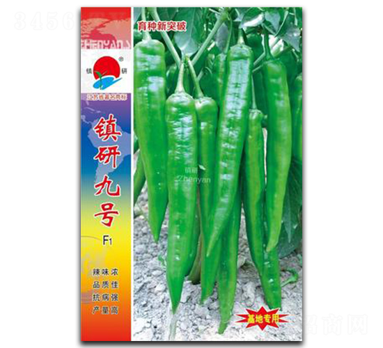 �(zh��n)�о�̖(h��o)-�⽷�N��-�(zh��n)�зN�I(y��)