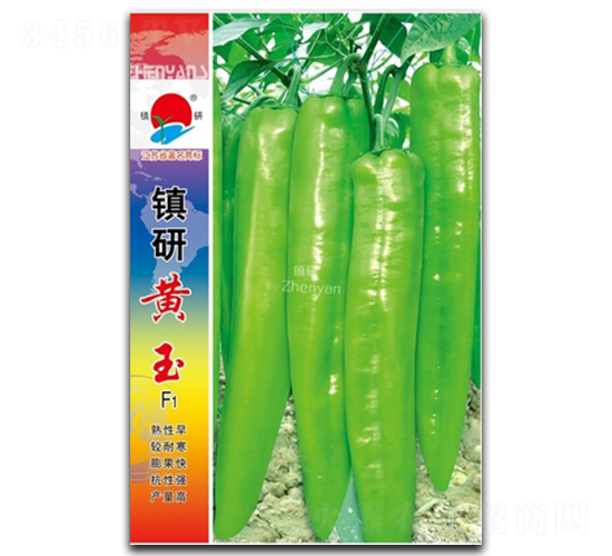 �(zh��n)���S��-�⽷�N��-�(zh��n)�зN�I(y��)