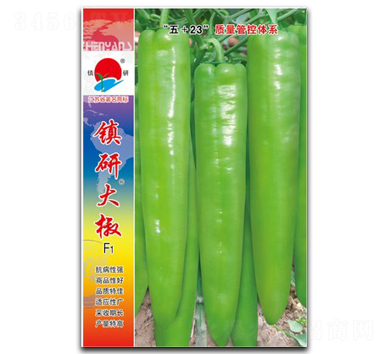 �(zh��n)�д�-�⽷�N��-�(zh��n)�зN�I(y��)