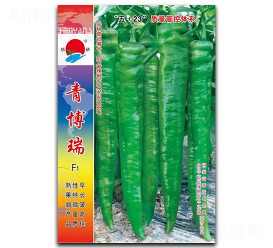 �಩��-�⽷�N��-�(zh��n)�зN�I(y��)