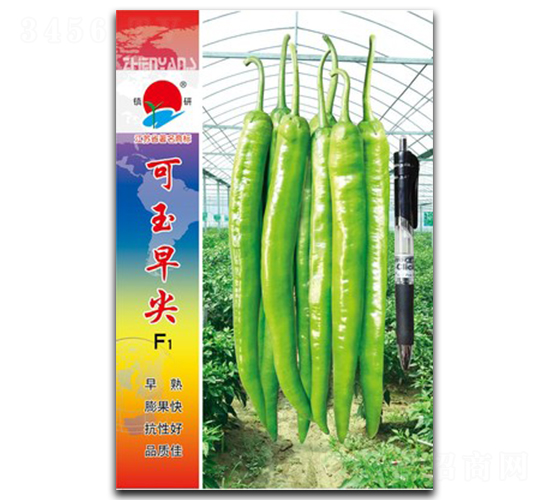 �������-�⽷�N��-�(zh��n)�зN�I(y��)