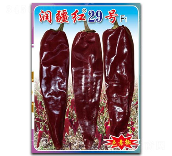 ��(r��n)���t29̖(h��o)-�����N��-�(zh��n)�зN�I(y��)