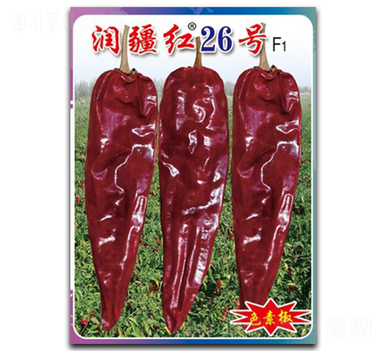 ��(r��n)���t26̖(h��o)-�����N��-�(zh��n)�зN�I(y��)