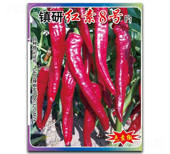 �t��8̖(h��o)-�����N��-�(zh��n)�зN�I(y��)