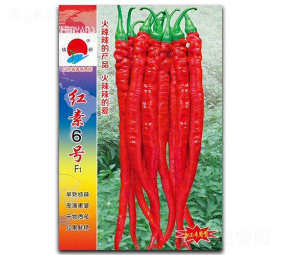 �t��6̖-�����N��-�(zh��n)�зN�I(y��)