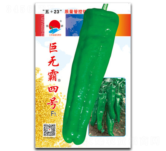 �ޟo����̖(h��o)-�ݽ��N��-�(zh��n)�зN�I(y��)