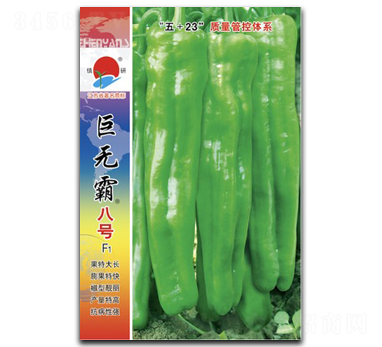 �ޟo�԰�̖-�ݽ��N��-�(zh��n)�зN�I(y��)