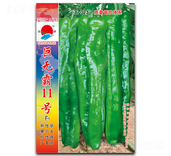 �ޟo��11̖-�ݽ��N��-�(zh��n)�зN�I(y��)