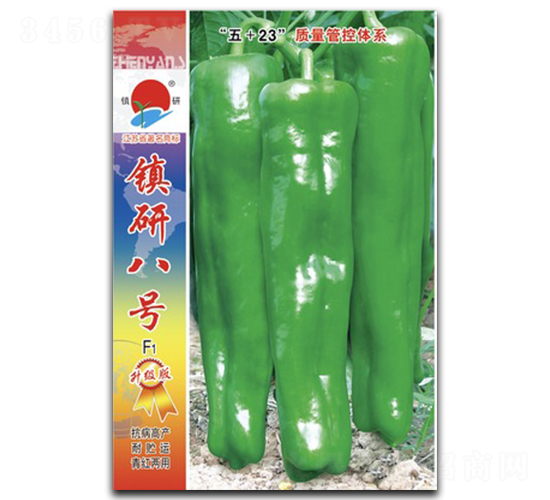 �(zh��n)�а�̖-�ݽ��N��-�(zh��n)�зN�I(y��)