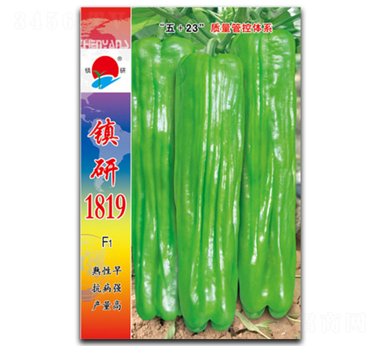 �(zh��n)��1819-�ݽ��N��-�(zh��n)�зN�I(y��)