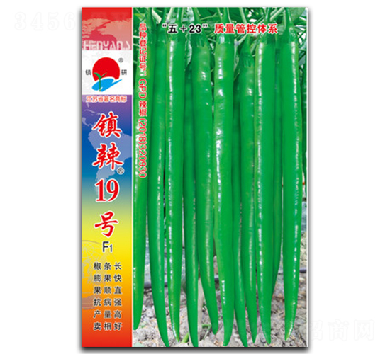 �(zh��n)��19̖(h��o)-�����N��-�(zh��n)�зN�I(y��)