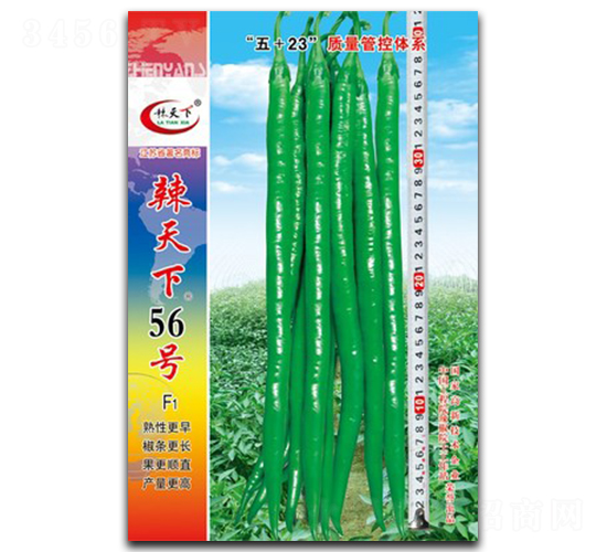 ������56̖-�����N��-�(zh��n)�зN�I(y��)