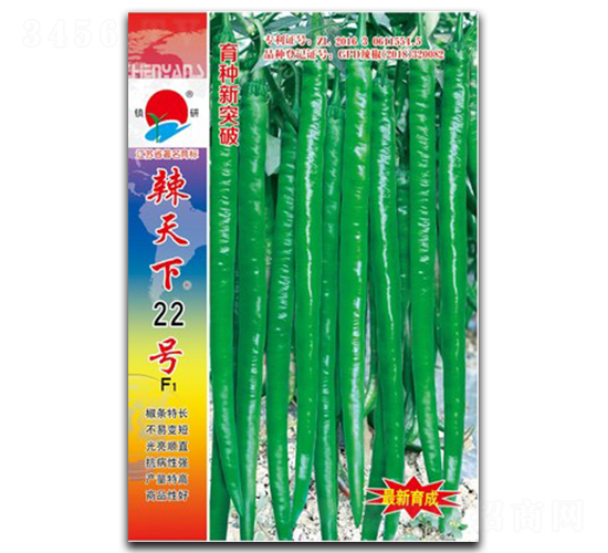 ������22̖-�����N��-�(zh��n)�зN�I(y��)