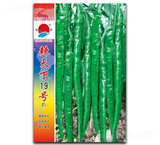 ������19̖(h��o)-�����N��-�(zh��n)�зN�I(y��)