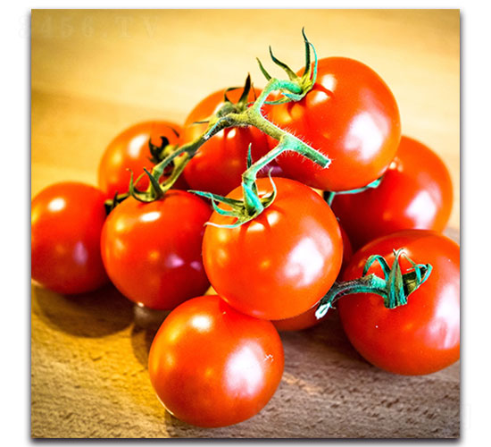 ���t���N��-�ȃ�(y��u)�_