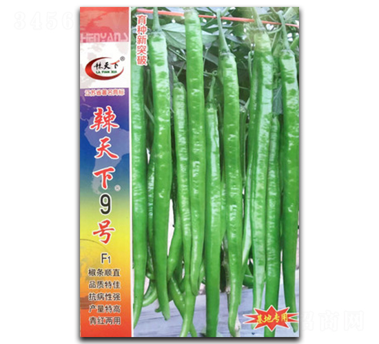 ������9̖-�����N��-�(zh��n)�зN�I(y��)