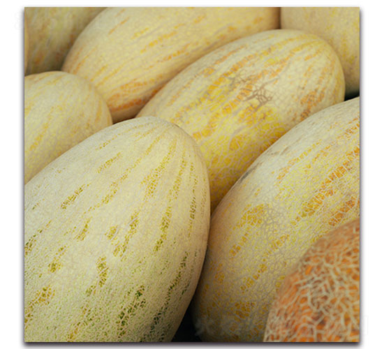 ��ϷN��-�ȃ�(y��u)�_