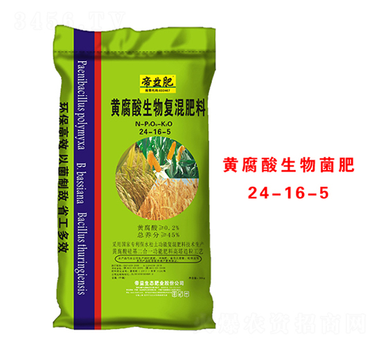 �S���������(f��)�����24-16-5-�����