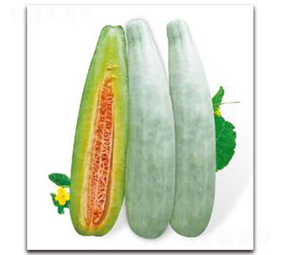 �ؼ�(j��)��Ǵ�-��ϷN��-�ȃ�(y��u)�_(d��)