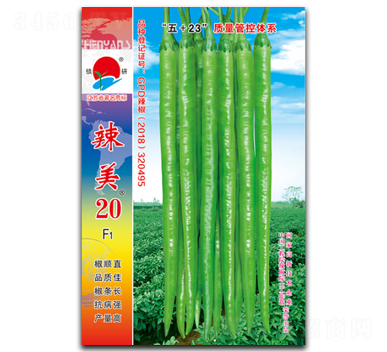 ����20-�����N��-�(zh��n)�зN�I(y��)