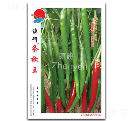 �(zh��n)�Зl����-�����N��-�(zh��n)�зN�I(y��)