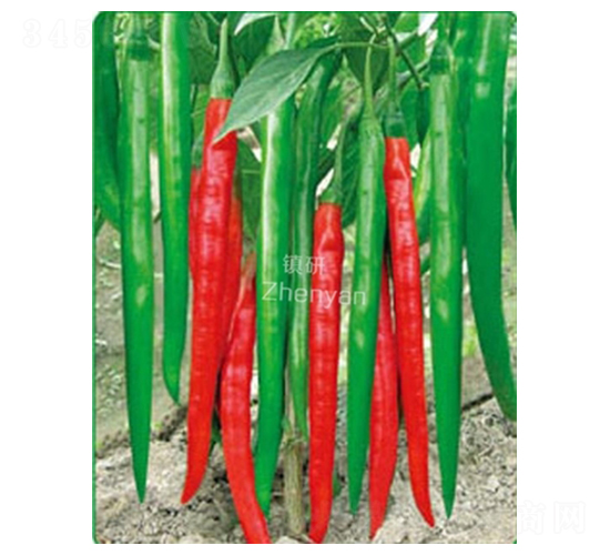 �(zh��n)��һ̖-�����N��-�(zh��n)�зN�I(y��)