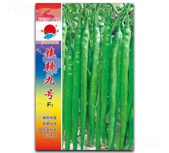 �(zh��n)����̖(h��o)-�����N��-�(zh��n)�зN�I(y��)