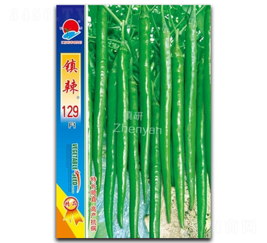 �(zh��n)��129-�����N��-�(zh��n)�зN�I(y��)