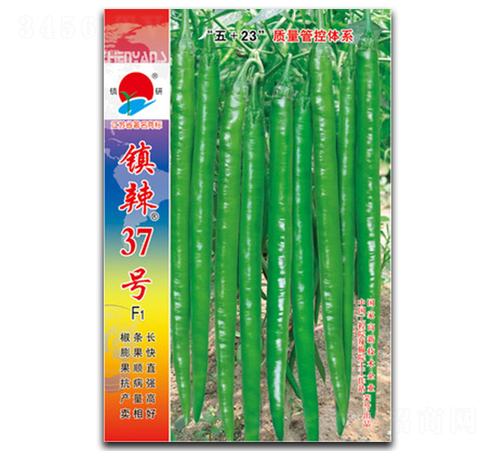 �(zh��n)��37̖-�����N��-�(zh��n)�зN�I(y��)