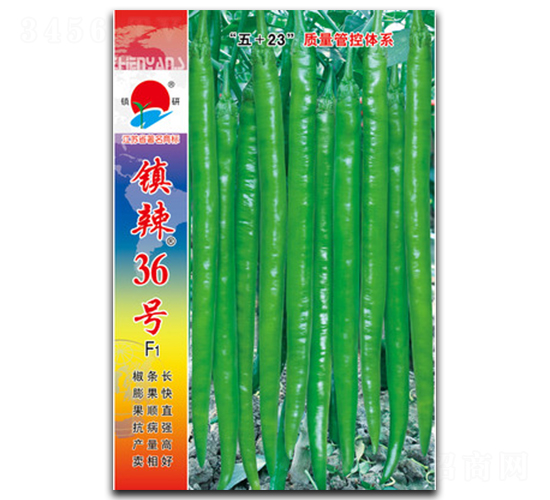 �(zh��n)��36̖-�����N��-�(zh��n)�зN�I(y��)