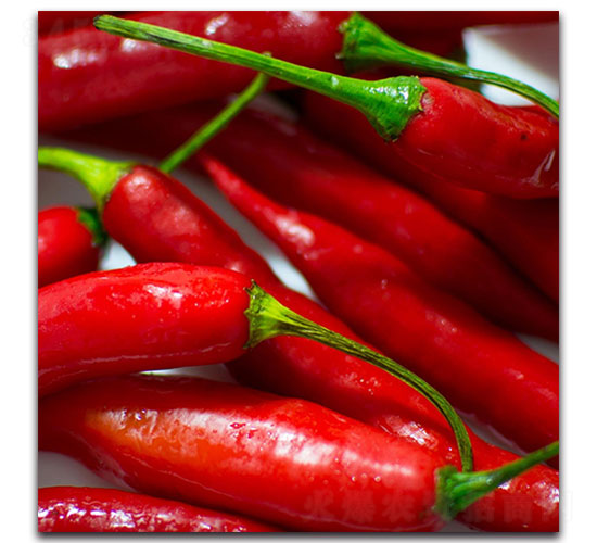 �����N��-�ȃ�(y��u)�_(d��)