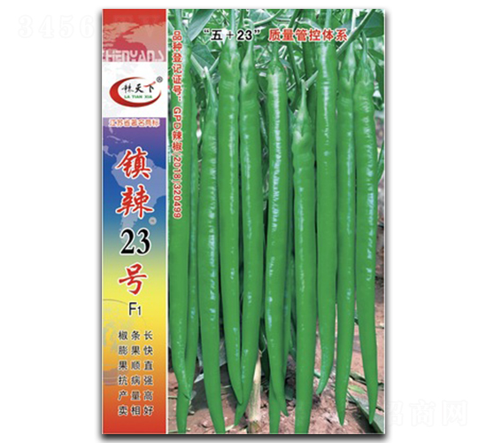 �(zh��n)��23̖(h��o)-�����N��-�(zh��n)�зN�I(y��)