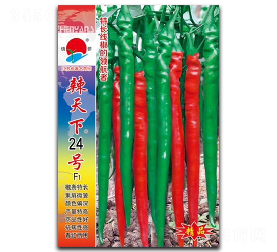 ������24̖(h��o)-�����N��-�(zh��n)�зN�I(y��)