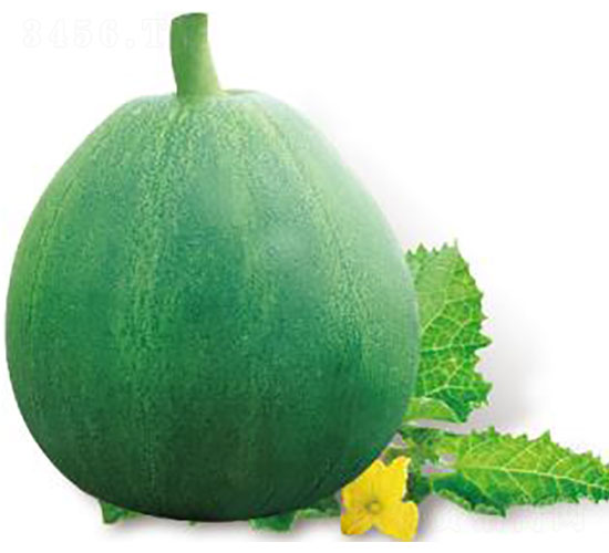 ��(y��u)�G��-��ϷN��-�ȃ�(y��u)�_(d��)