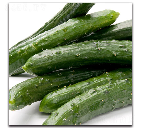 �S�ϷN��-�ȃ�(y��u)�_